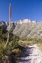 23_McKittrick Canyon_1